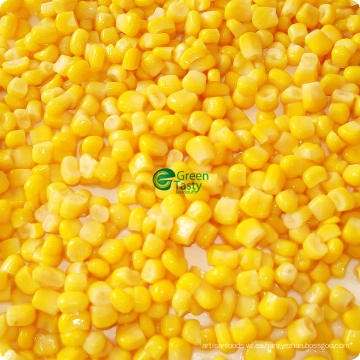 Venta caliente IQF Frozen Freshsuper Sweet Corn Kernel